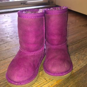Purple Uggs